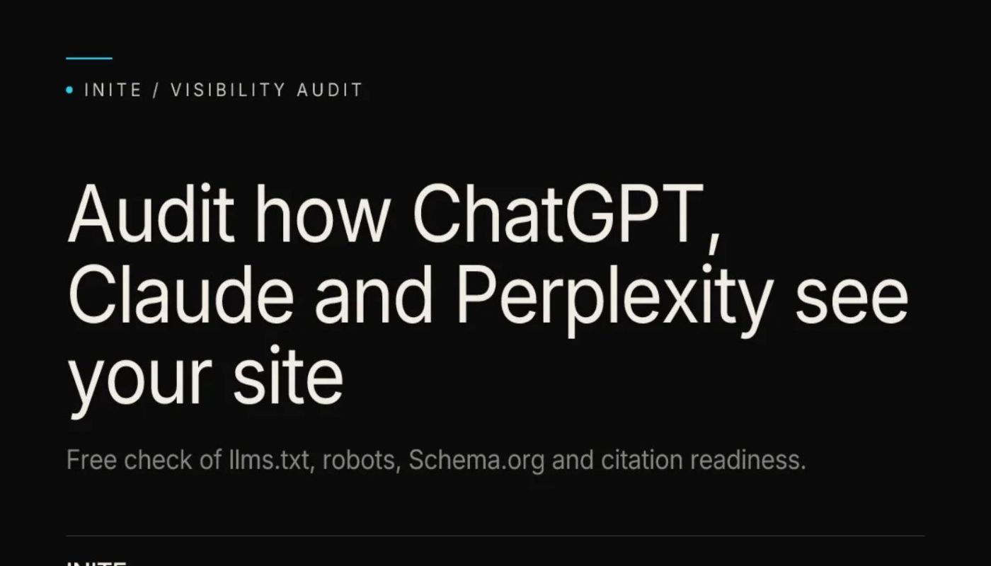 AI Visibility Audit product image 1