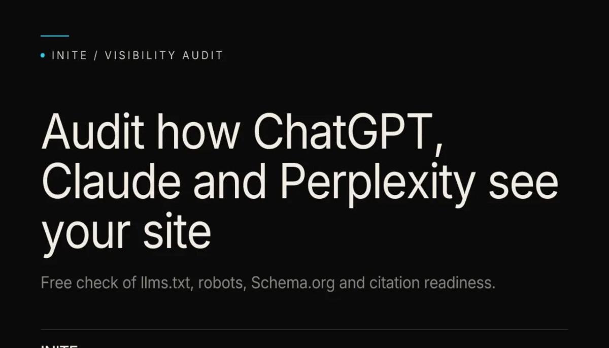 AI Visibility Audit product image 1