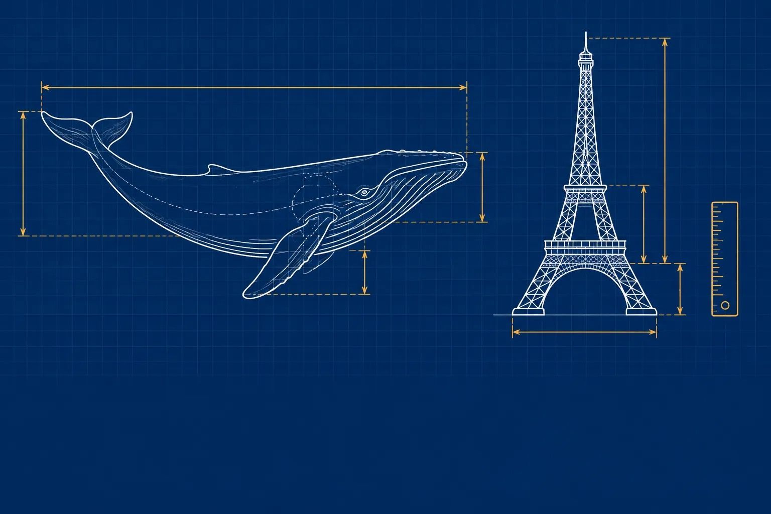 Size It Up Game Wiki product image 2
