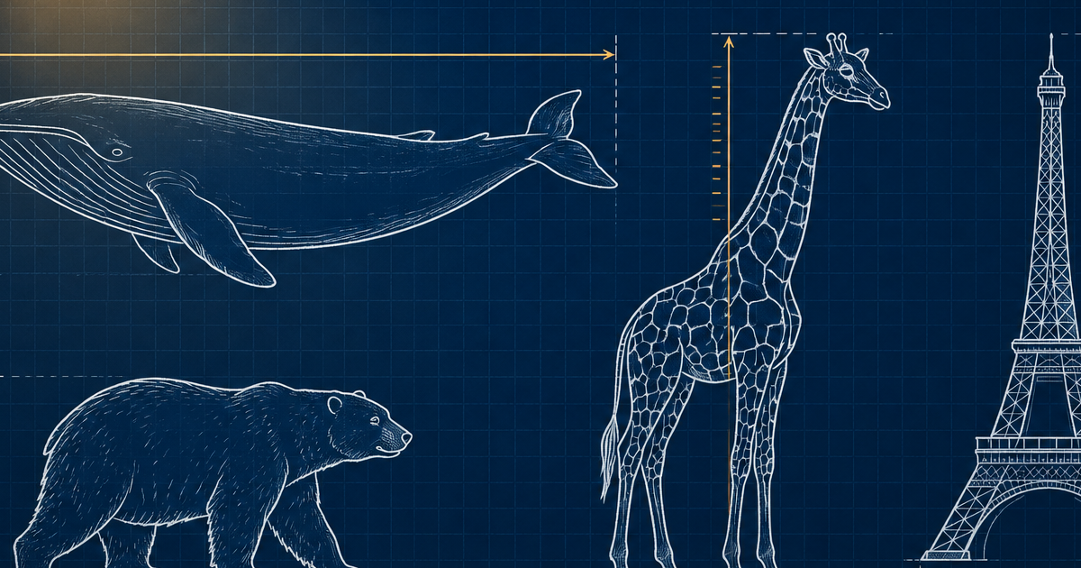 Size It Up Game Wiki product image 4