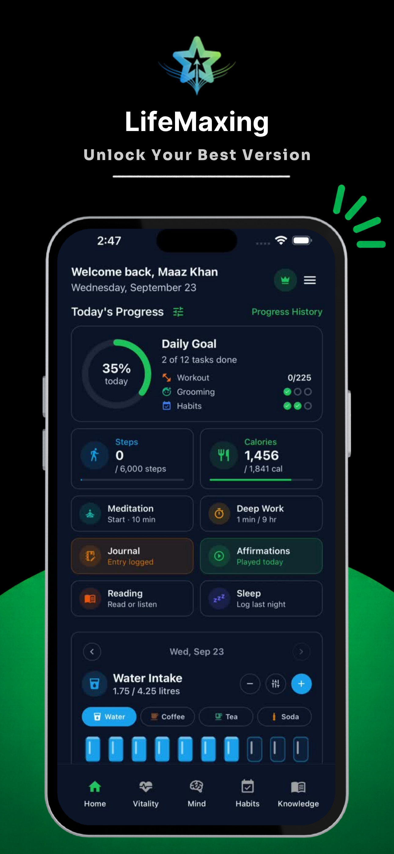 LifeMaxing product image 9