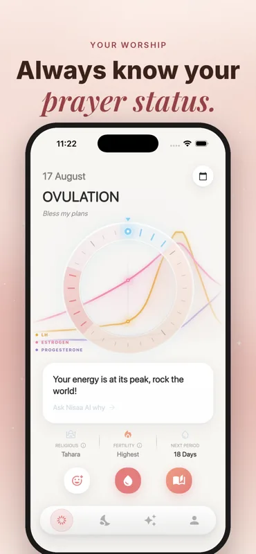 Nisaa product image 1